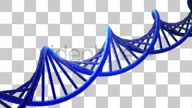 Double Helix Strand of DNA - Download Videohive 7440397