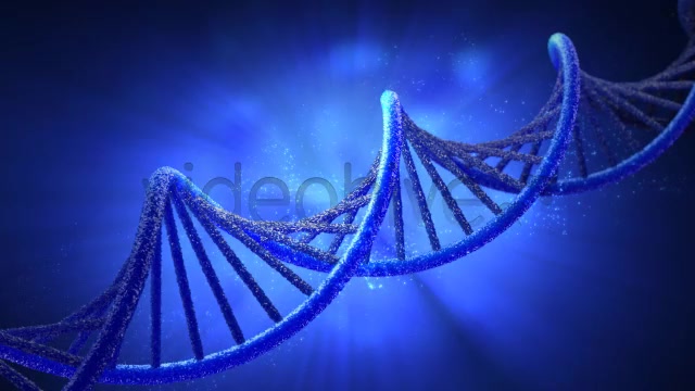 Double Helix Strand of DNA - Download Videohive 7440397