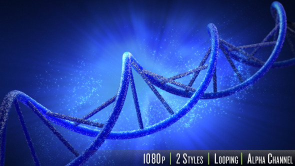 Double Helix Strand of DNA - Download Videohive 7440397