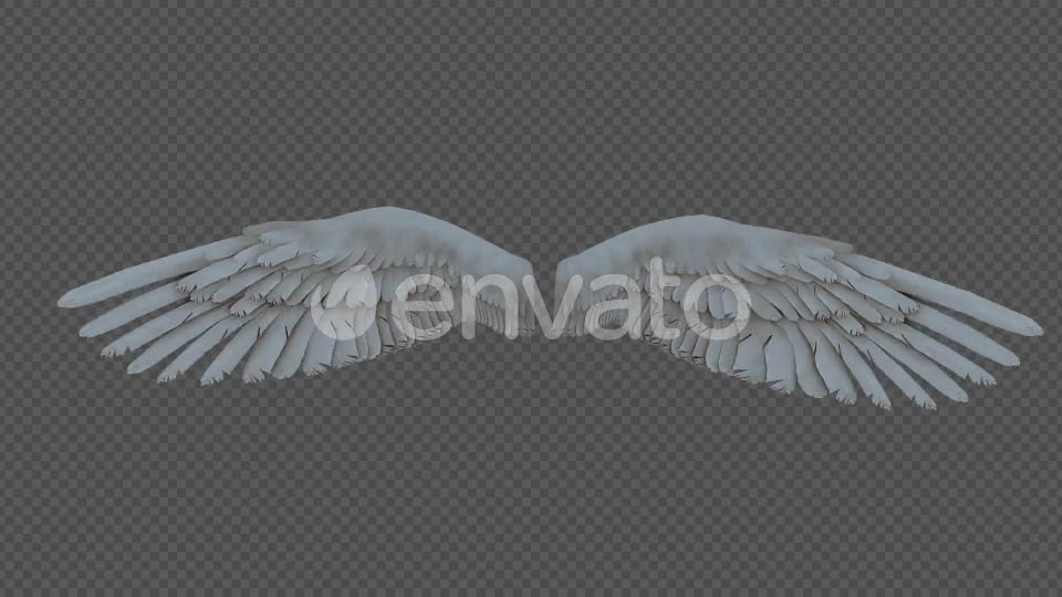 Double Wings Spread Wings Fly Pack 4In1 Videohive 22048543 Motion Graphics Image 1
