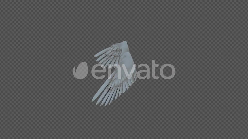 Double Wings Spread Wings Fly Pack 4In1 Videohive 22048543 Motion Graphics Image 10