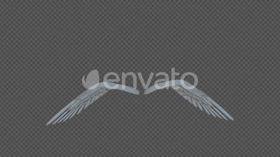 Double Wings Spread Wings Fly Pack 4In1 Videohive 22048543 Motion Graphics Image 4