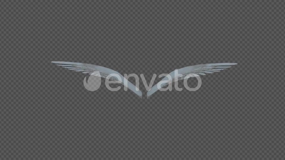 Double Wings Spread Wings Fly Pack 4In1 Videohive 22048543 Motion Graphics Image 5
