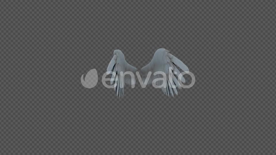 Double Wings Spread Wings Fly Pack 4In1 Videohive 22048543 Motion Graphics Image 9