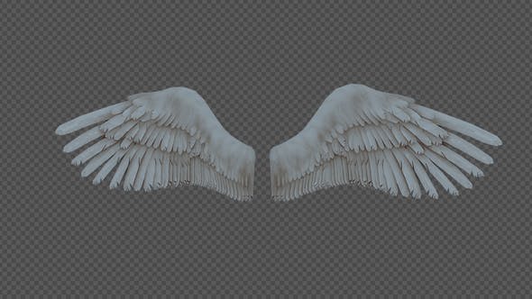 Double Wings Spread Wings Fly Pack 4In1 - 22048543 Download Videohive