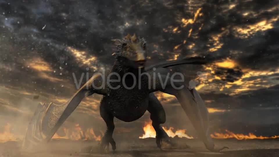 Dragon Logo Reveal - Download Videohive 20408968