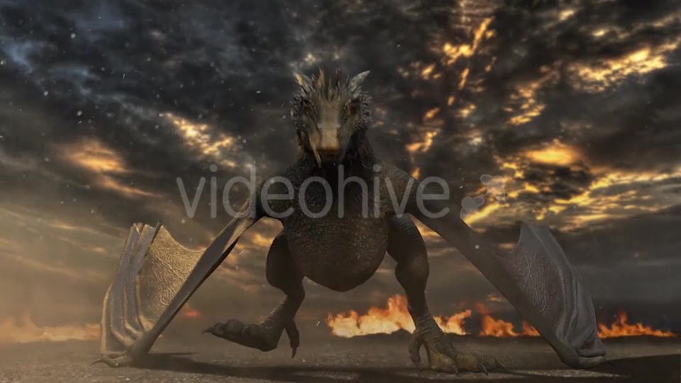 Dragon Logo Reveal - Download Videohive 20408968