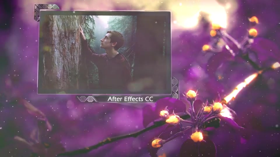 Dreaming Forest Slideshow Videohive 21823432 After Effects Image 9