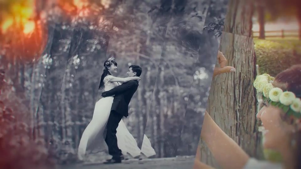 Dreamy Wedding Slideshow Videohive 16509261 After Effects Image 6