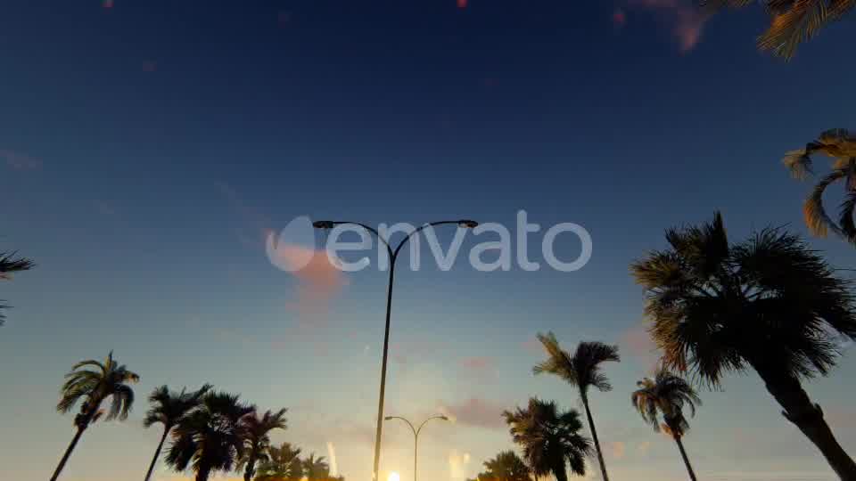 Driving Through Palm Trees - Download Videohive 22139488