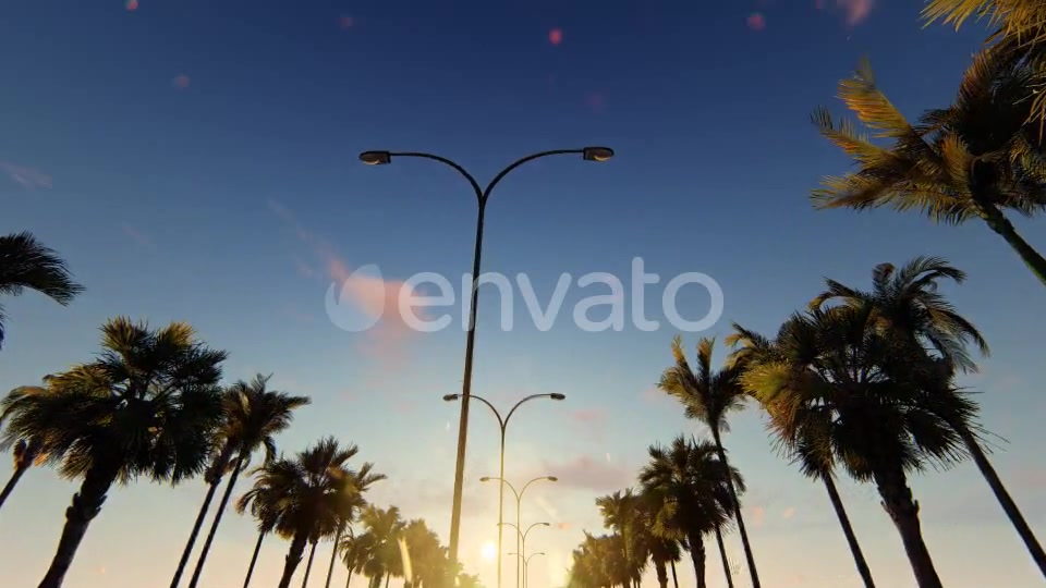 Driving Through Palm Trees - Download Videohive 22139488