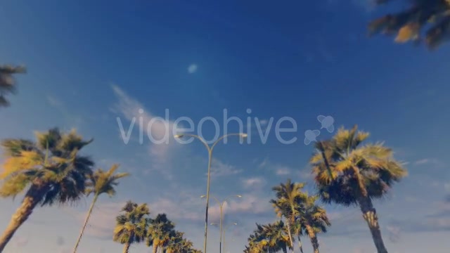 Driving Through Palm Trees Sunset - Download Videohive 16386034