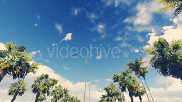 Driving Through PalmTrees Noon - Download Videohive 16385926