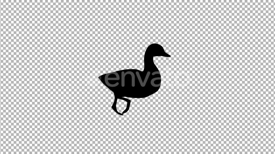 Duck Swim Silhouette - Download Videohive 22087437