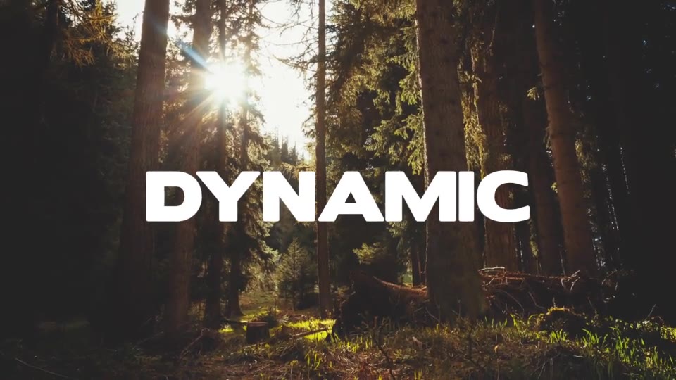 Dynamic Gallery - Download Videohive 10470167