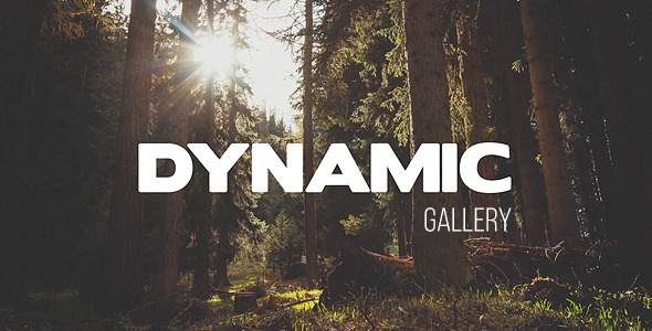 Dynamic Gallery - Download Videohive 10470167