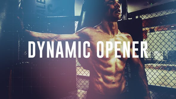 Dynamic Opener - Download Videohive 23468199