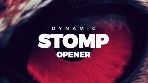 Dynamic Stomp Opener - Download Videohive 21711200