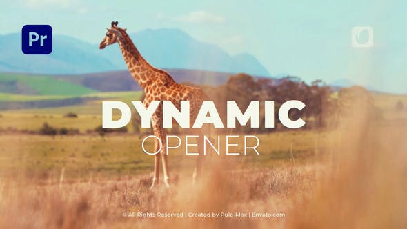Dynamic Stomp Opener | MOGRT - 38803605 Videohive Download