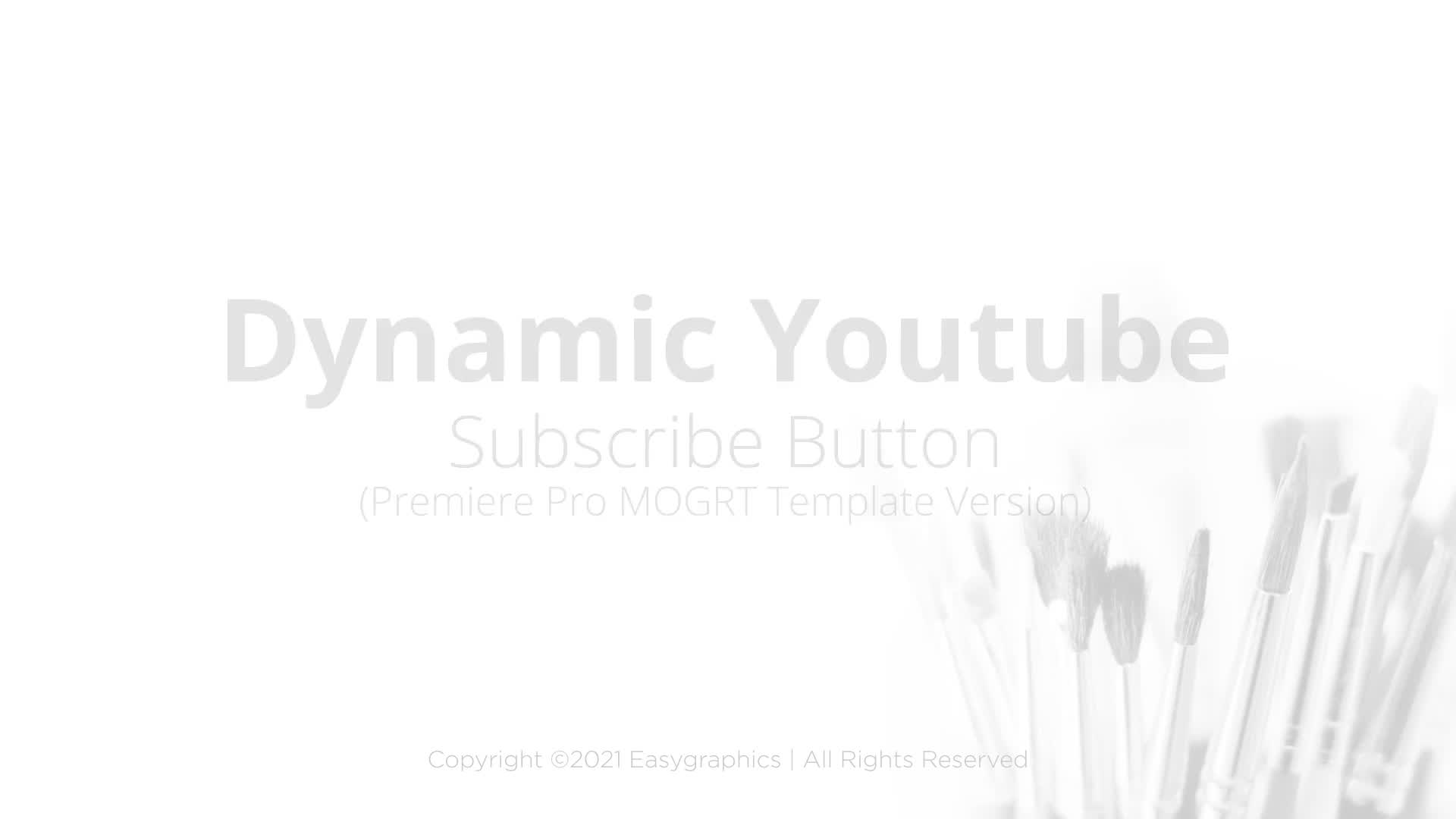 Dynamic Youtube Subscribe Button for Premiere Pro Videohive 30677120 Premiere Pro Image 2