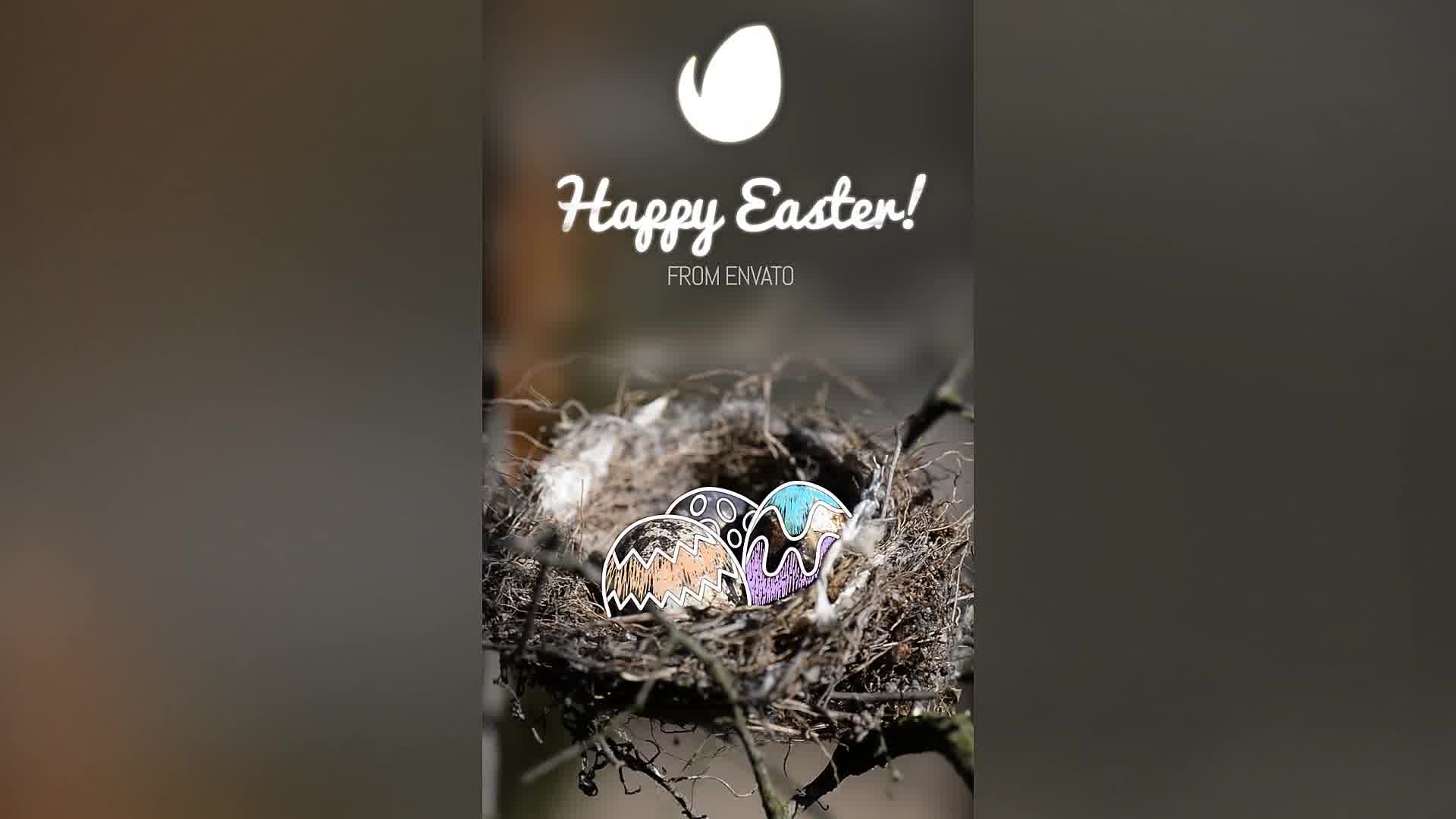 Easter Eggs Gift Card Wide and Instagram Stories Version Videohive 23593553 After Effects Image 10