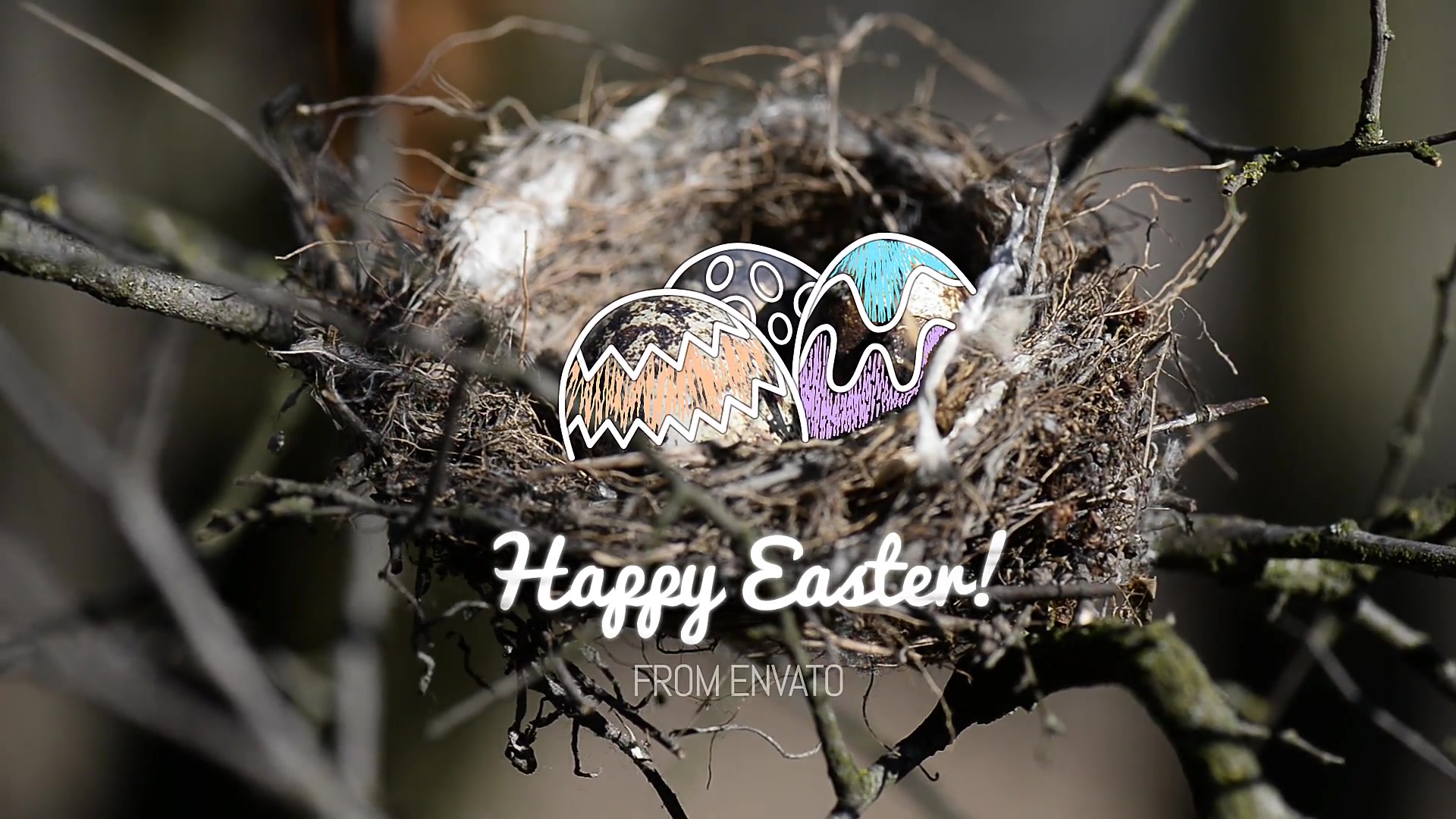Easter Eggs Gift Card Wide and Instagram Stories Version Videohive 23593553 After Effects Image 5