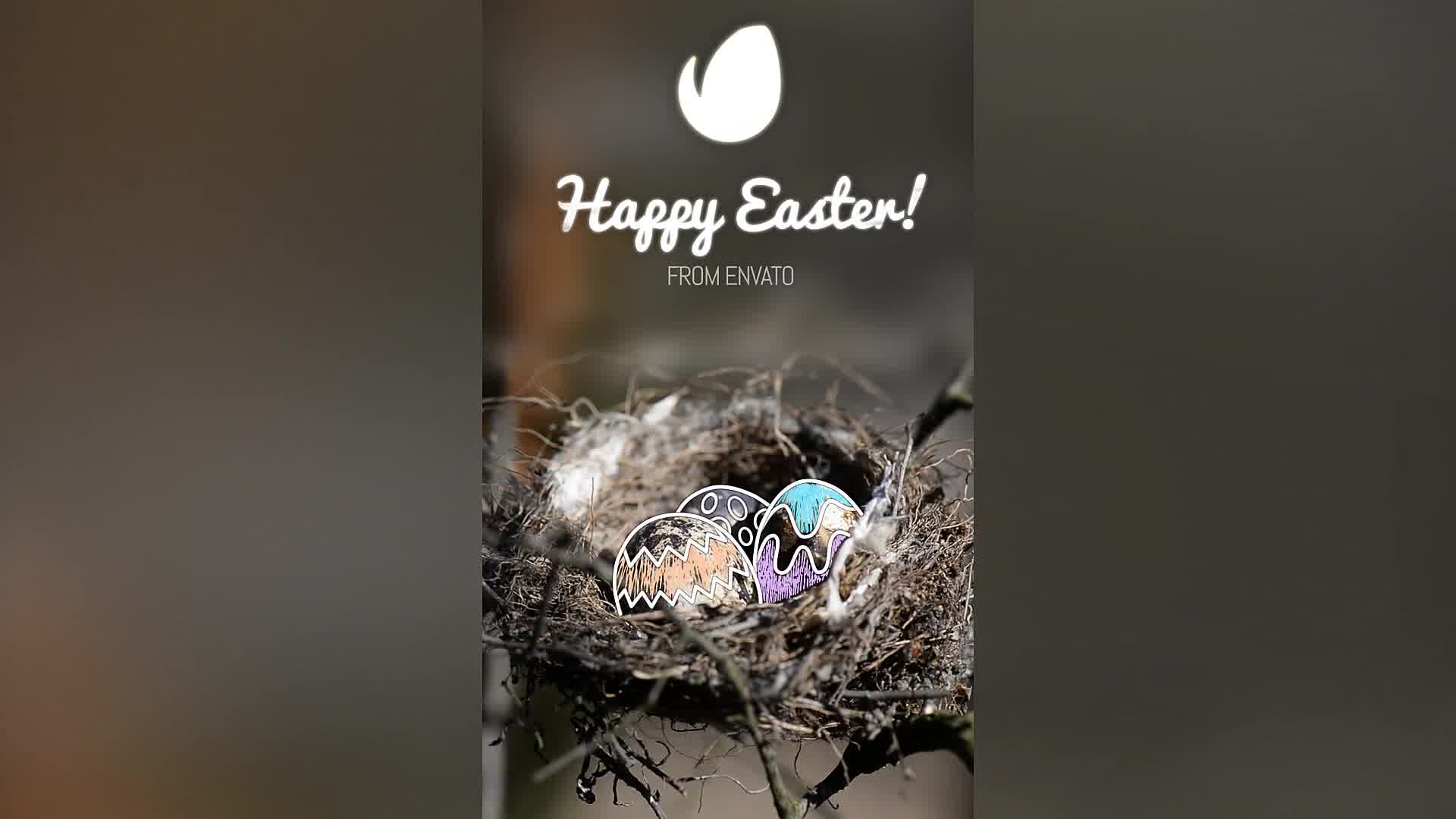 Easter Eggs Gift Card Wide and Instagram Stories Version Videohive 23593553 After Effects Image 9