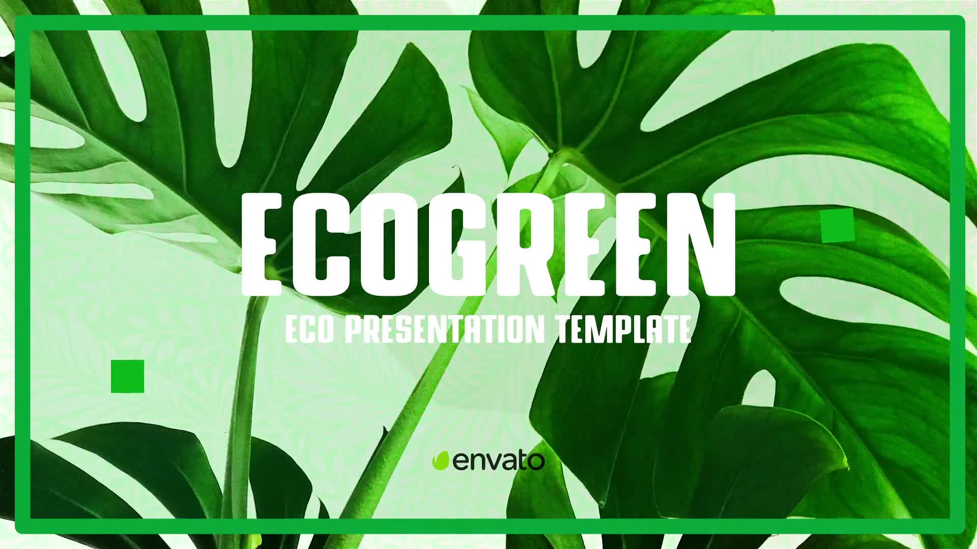 Eco Green Company Presentation | Ecology Promo Videohive 32215681 After Effects Image 1