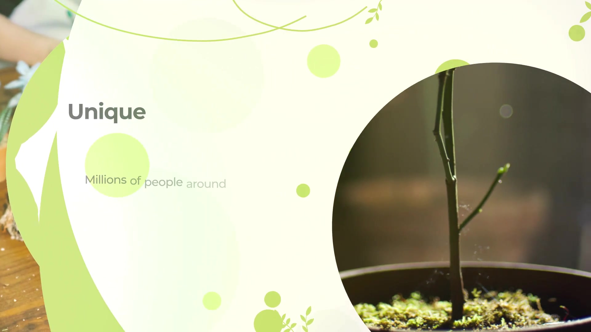 Eco Presentation Videohive 32211013 After Effects Image 4