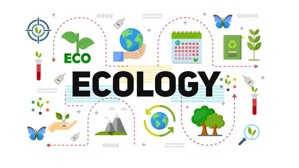 Ecology & Energy Typography Scenes - Download Videohive 38522287