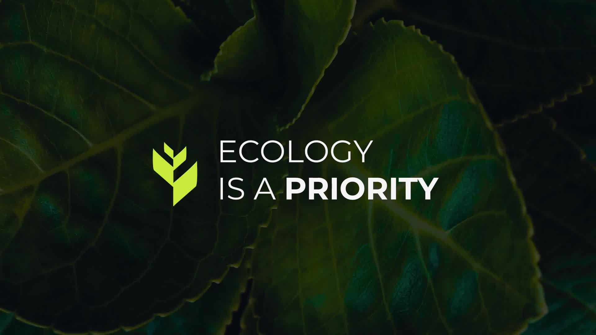 Ecology Lower Thirds Videohive 33754284 After Effects Image 2