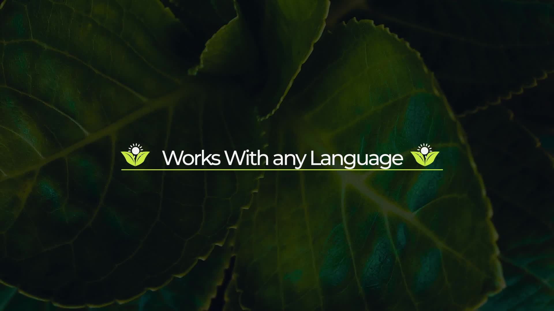 Ecology Lower Thirds Videohive 33754284 After Effects Image 3