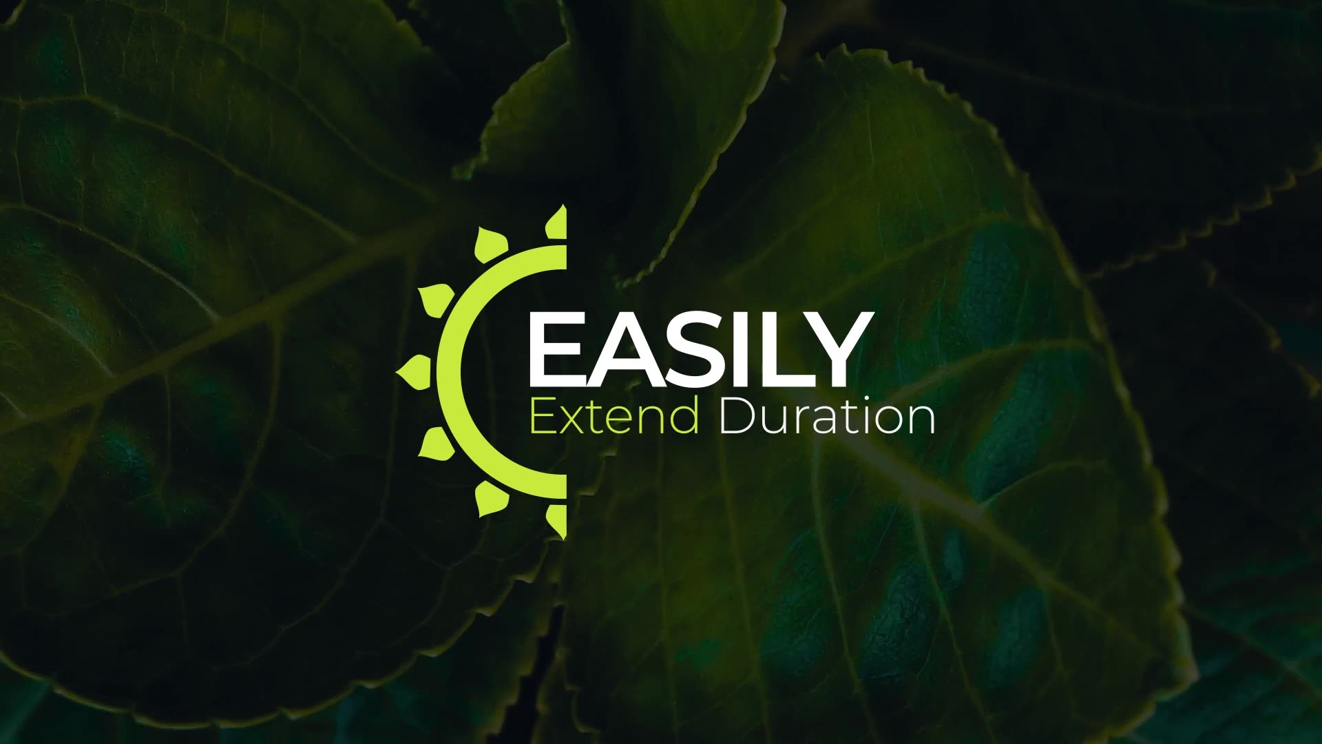 Ecology Lower Thirds Videohive 33754284 After Effects Image 4