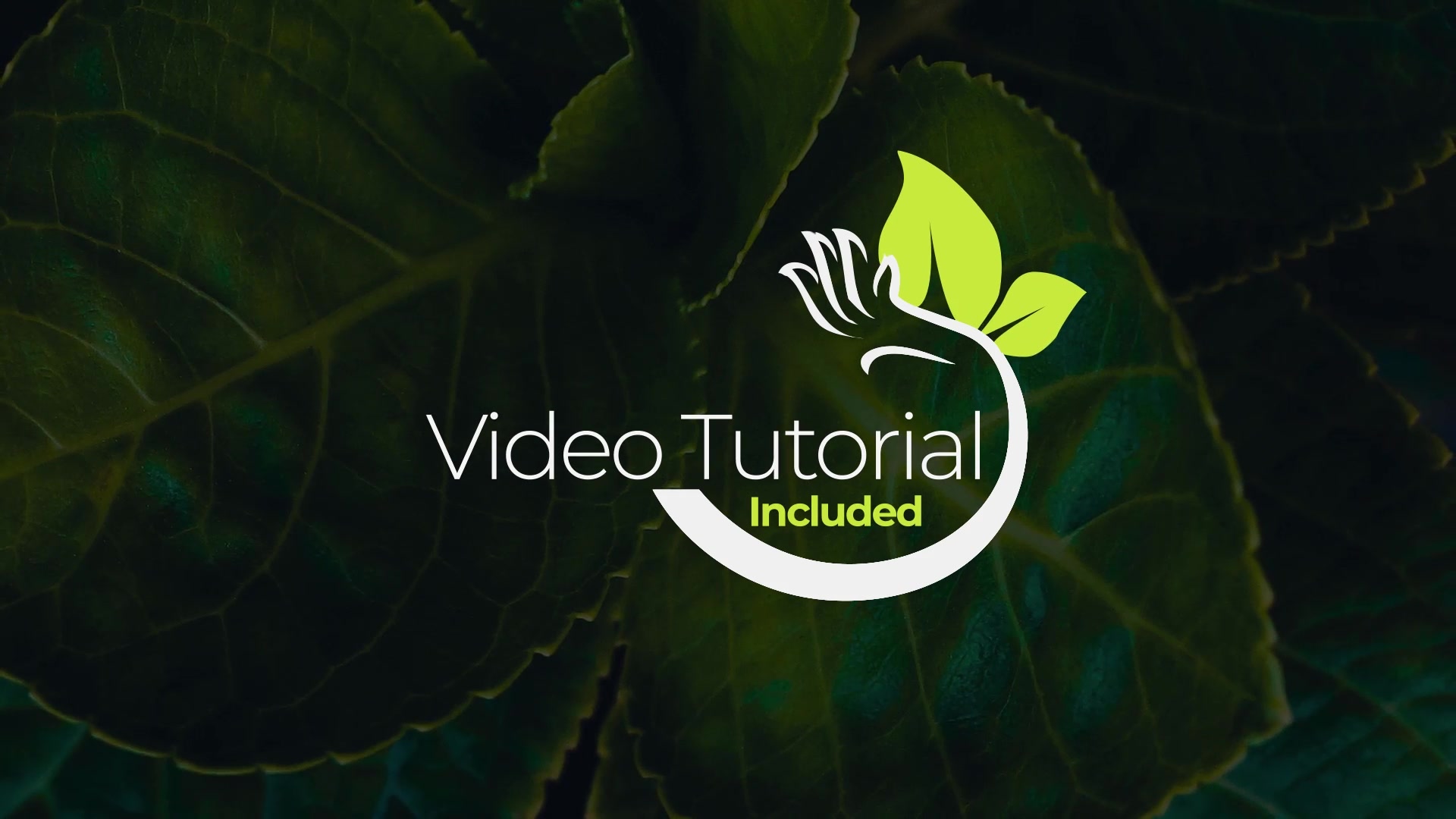 Ecology Lower Thirds Videohive 33754284 After Effects Image 7
