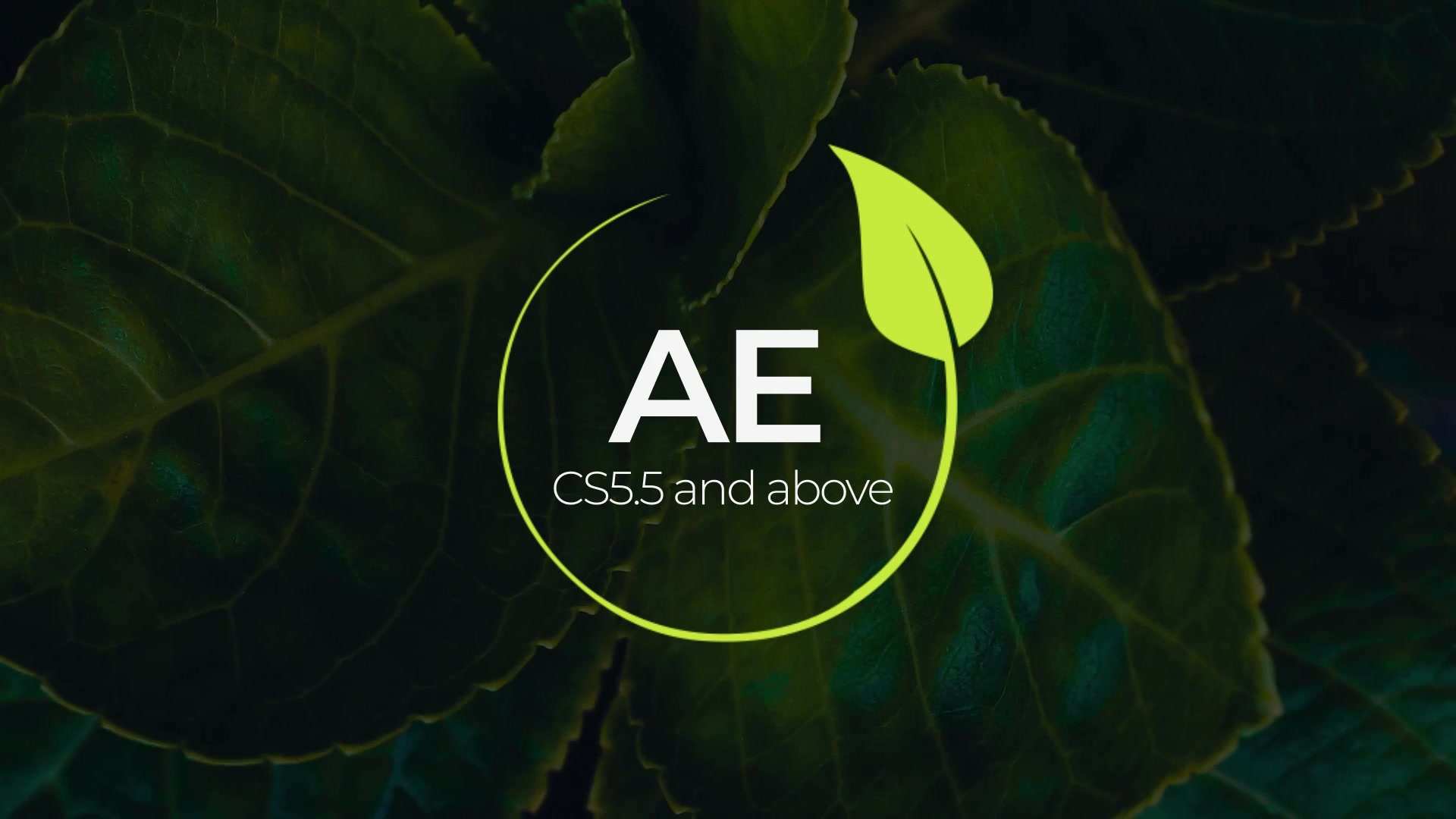 Ecology Lower Thirds Videohive 33754284 After Effects Image 8