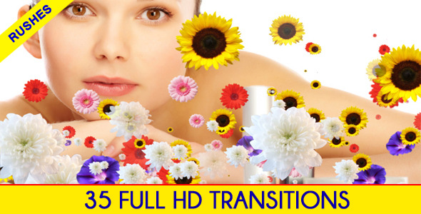 Editors Transition Pack - Download Videohive 4711643