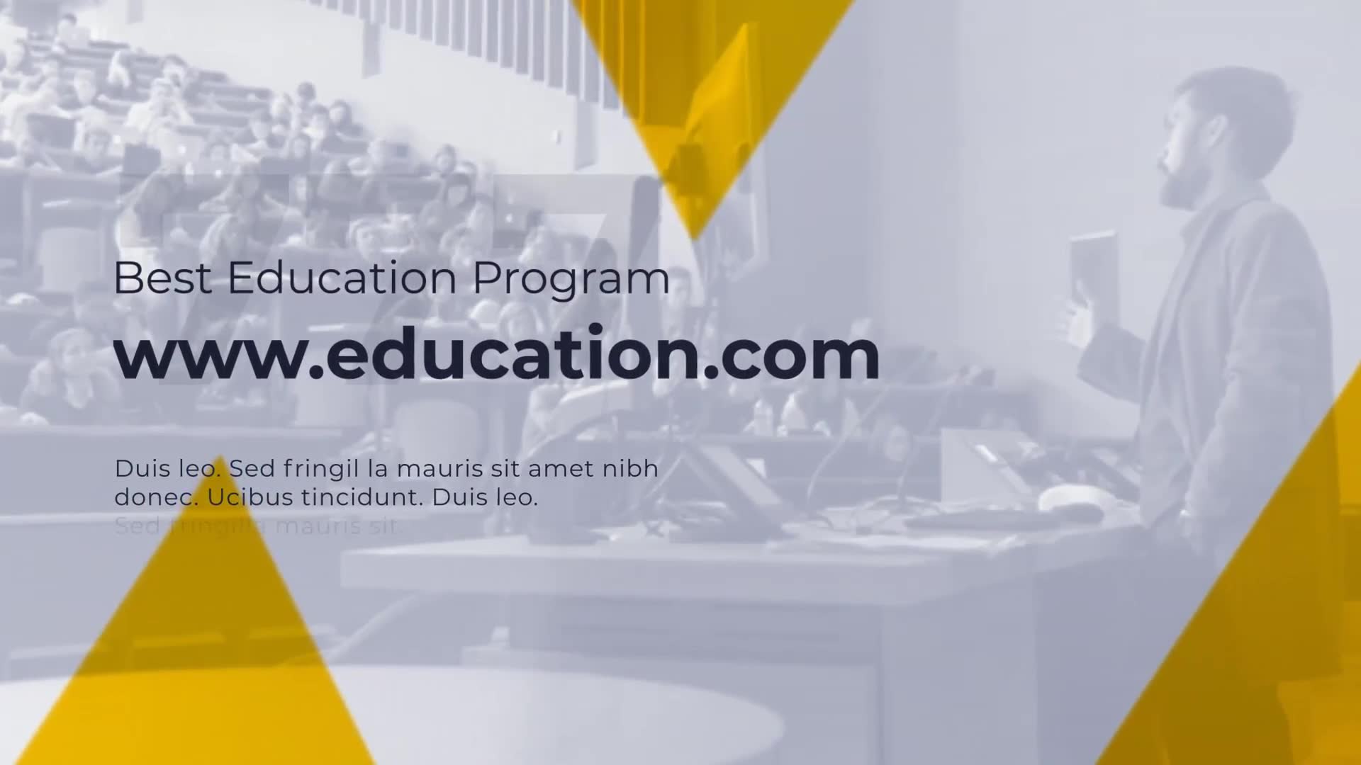 Education Program e Learning Promo Videohive 23756182 After Effects Image 11