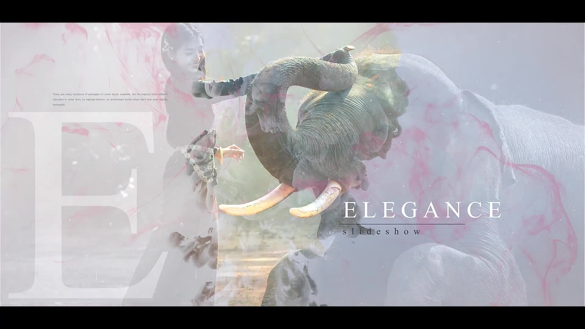 Elegance Ink Slideshow Videohive 30449196 Premiere Pro Image 2