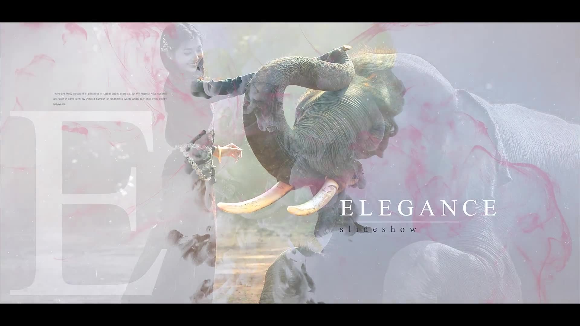 Elegance Ink Slideshow - Download Videohive 20427963