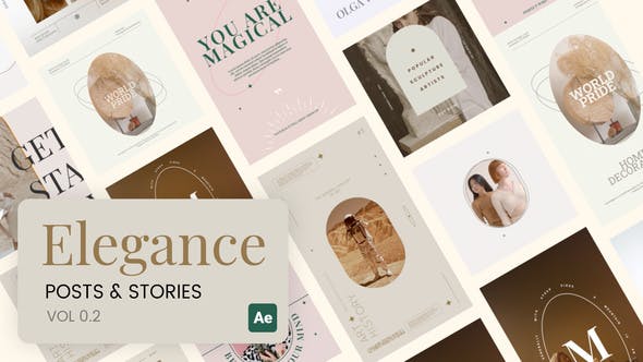 Elegance Stories and Posts Vol 02 - Videohive 35015111 Download