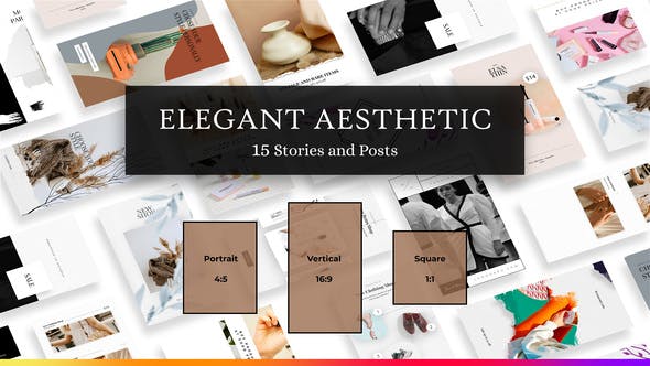 Elegant Aesthetic Instagram Stories and Posts - Videohive Download 29833369