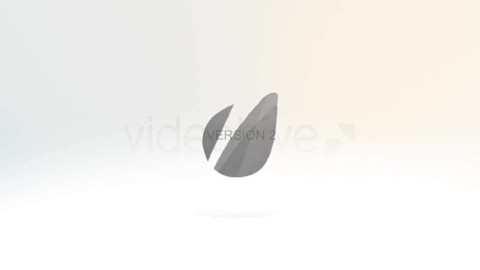 Elegant Contour Logo - Download Videohive 3889436
