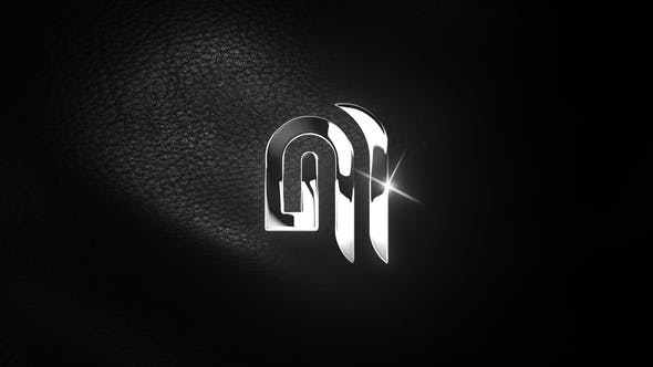 Elegant Leather Logo - 34000480 Videohive Download