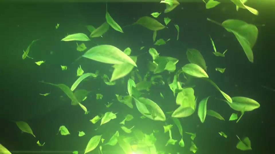 Elegant Leaves Logo Reveal V2 Videohive 18142899 After Effects Image 6