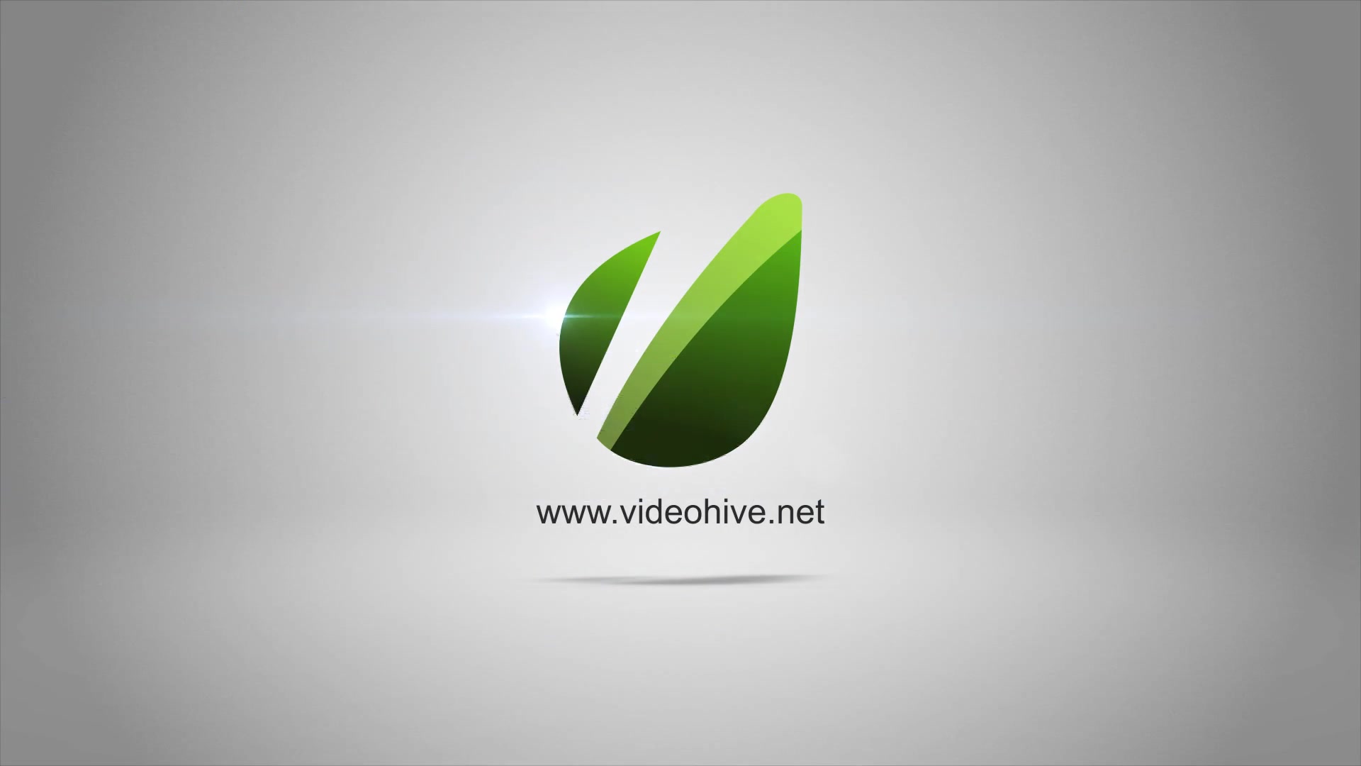 Elegant Logo Ribbons Videohive 6764286 After Effects Image 4