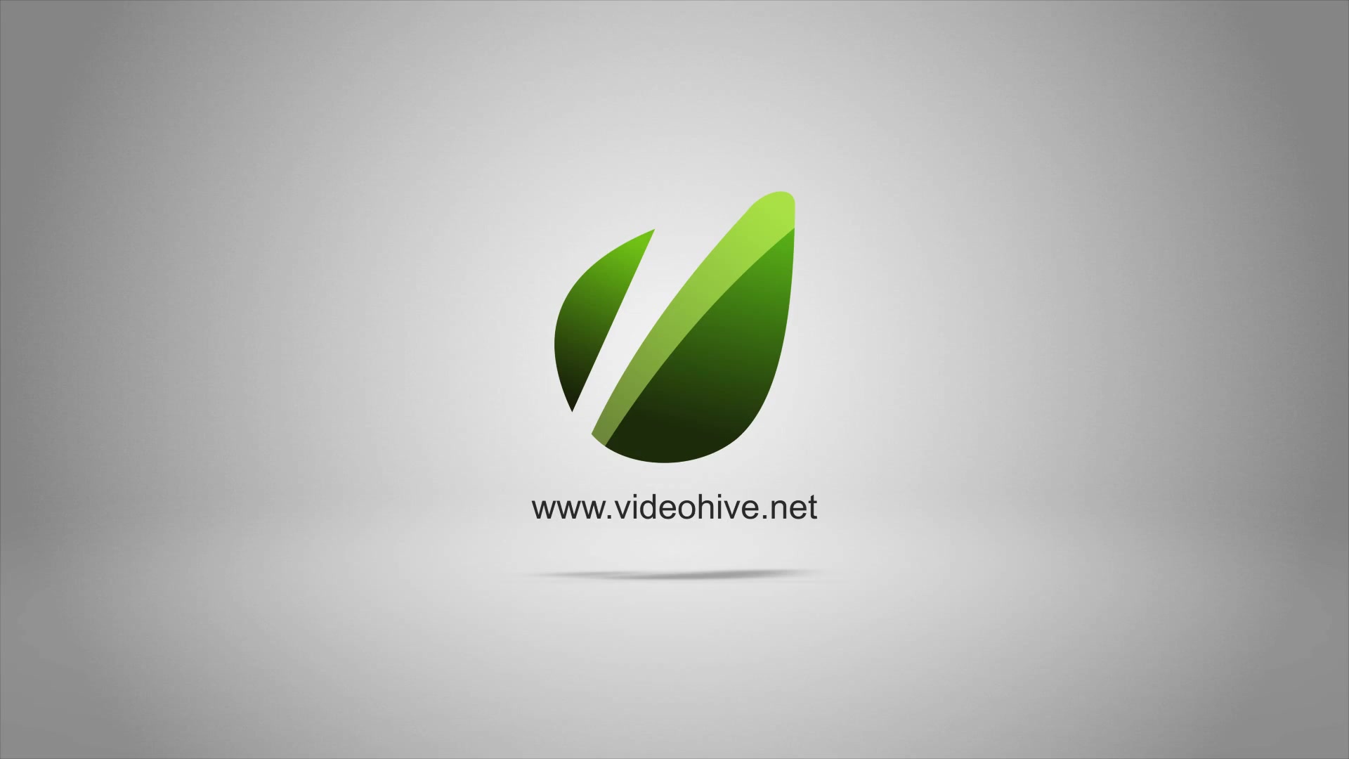 Elegant Logo Ribbons Videohive 6764286 After Effects Image 5