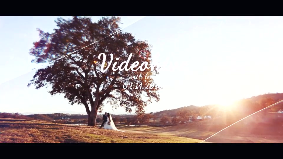 Elegant Lovely Opener Videohive 14633842 After Effects Image 11