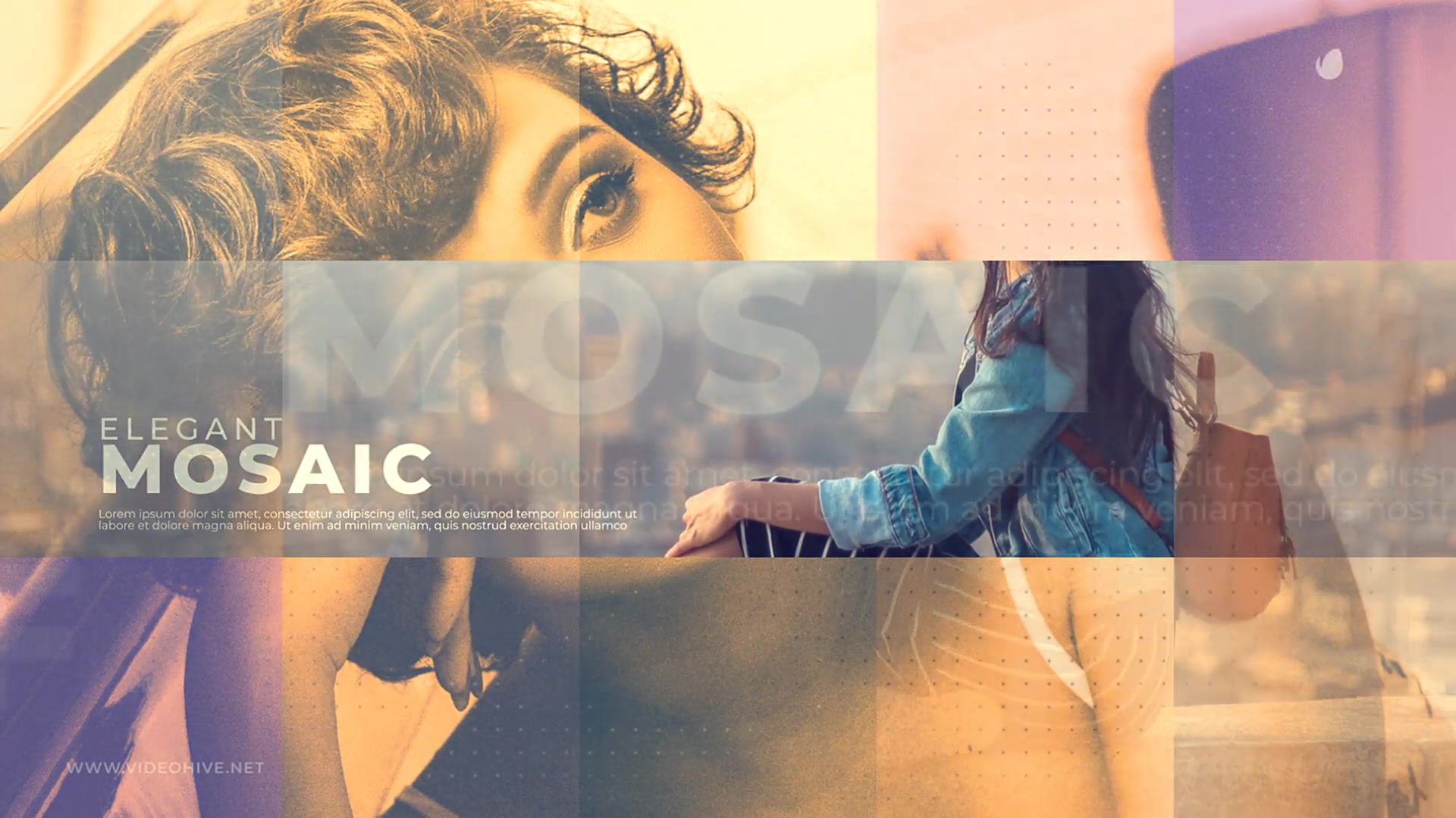 Elegant Mosaic Videohive 23381830 After Effects Image 3