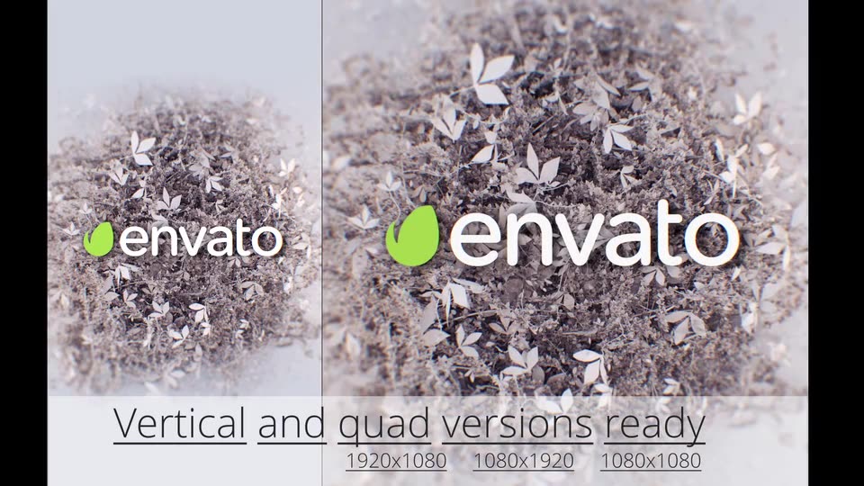 Elegant Nature Logo Videohive 30723313 After Effects Image 10