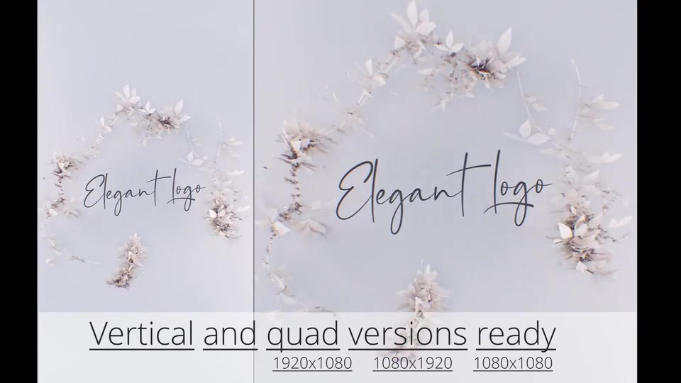Elegant Nature Logo Videohive 30723313 After Effects Image 7